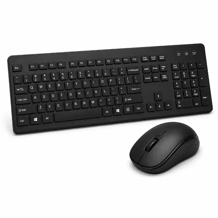 Keyboards & Mice